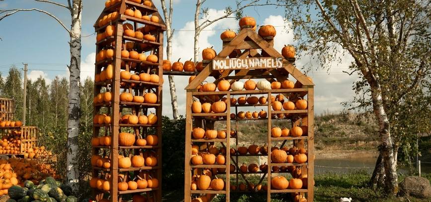 HELOVYNAS KLAIPĖDOS RAJONE