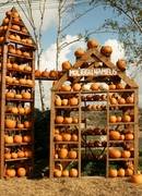 HELOVYNAS KLAIPĖDOS RAJONE