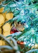 KALĖDOS KLAIPĖDOS RAJONE