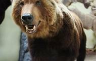 25_zoo_muziejus-gamtos_perlas_5_001.jpg