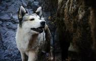 28_zoo_muziejus-gamtos_perlas_8_001.jpg