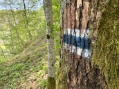 3._Kalnu_takai_001.JPEG