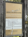 IMG_6895.JPEG