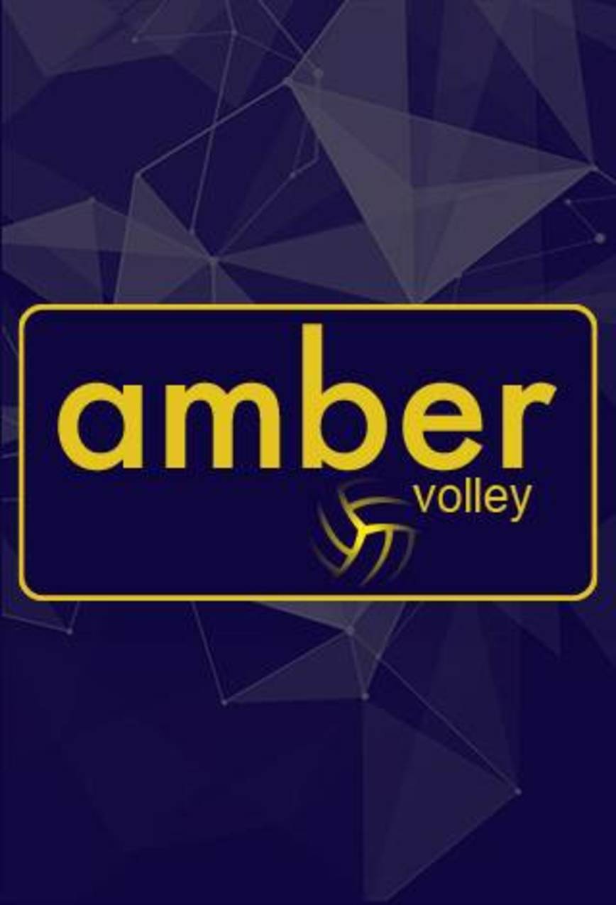 LTU-LAT tinklinio lyga: Gargždų “Amber Volley” - Alytaus 
