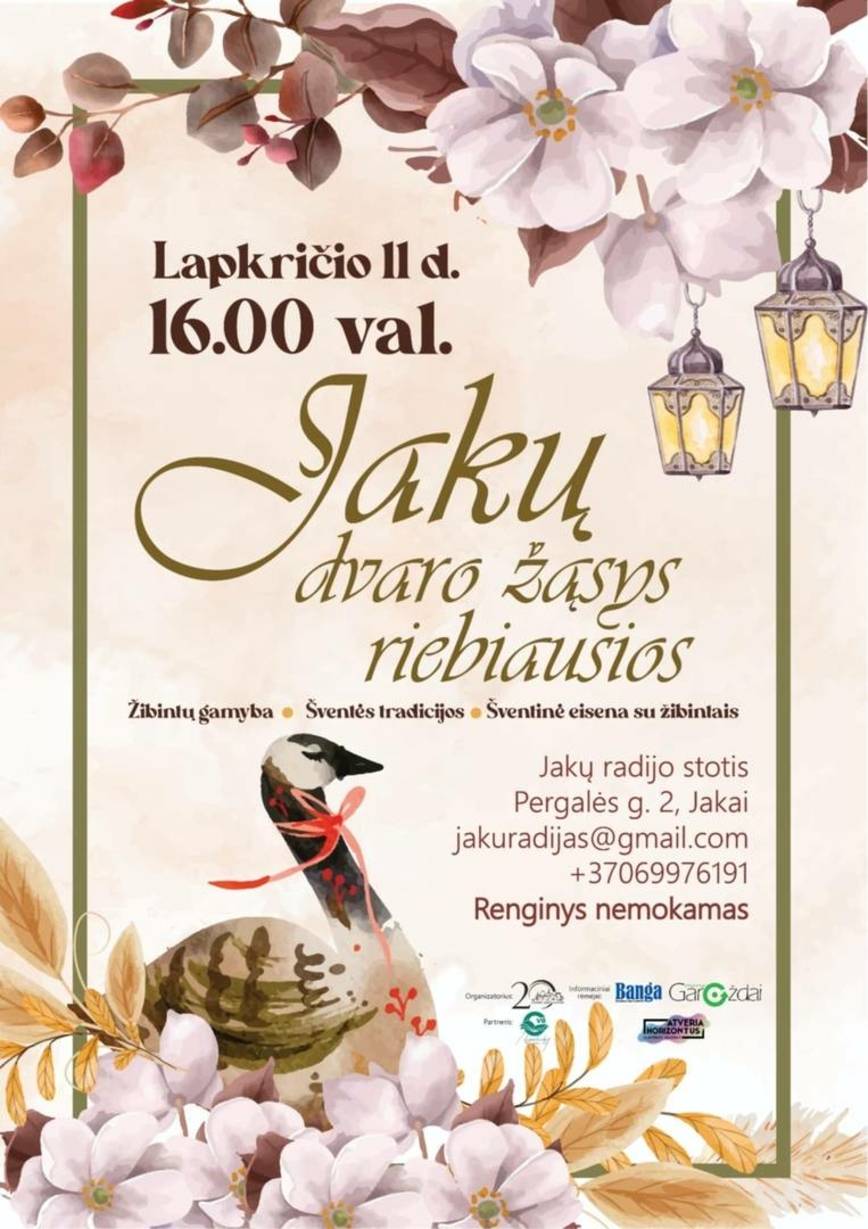 Jakų dvaro žąsys riebiausios
