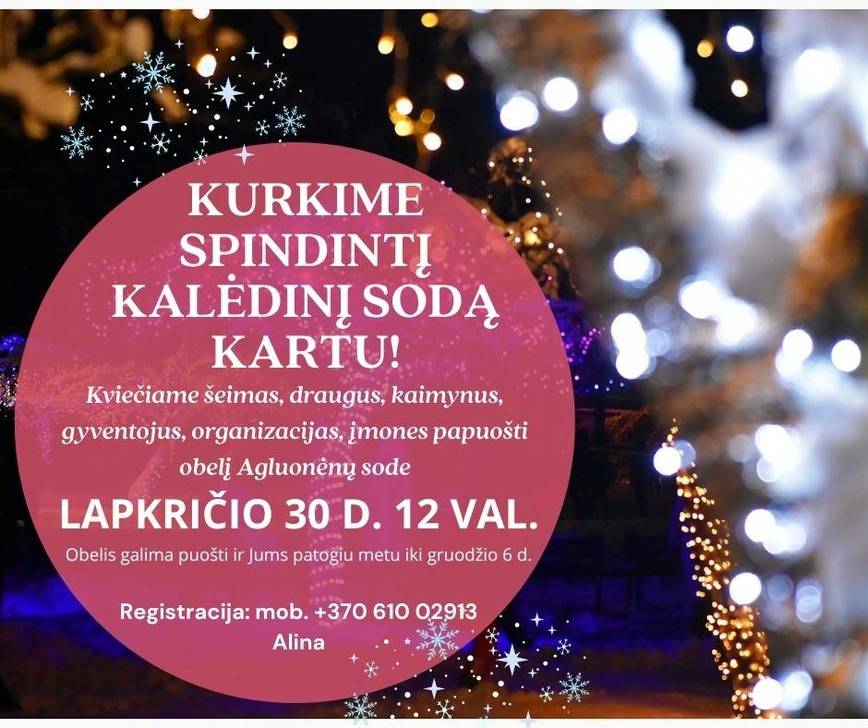 Kurkime spindintį kalėdinį sodą kartu!