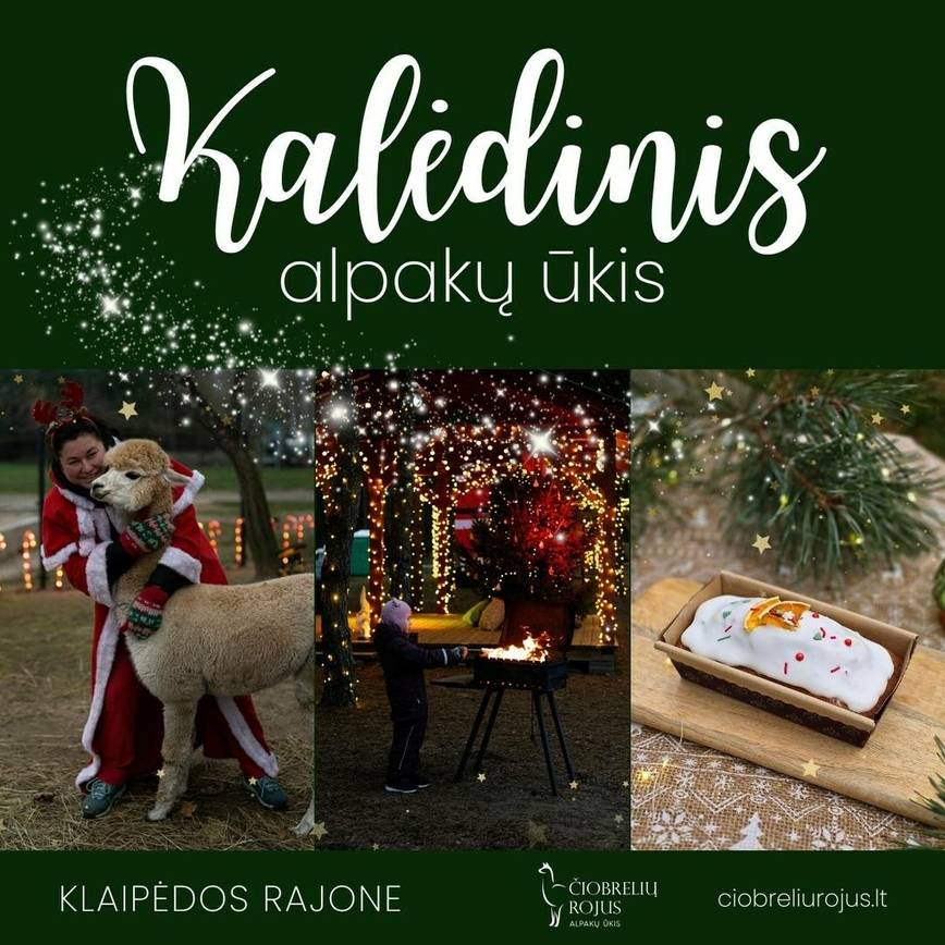Kalėdinis alpakų ūkis