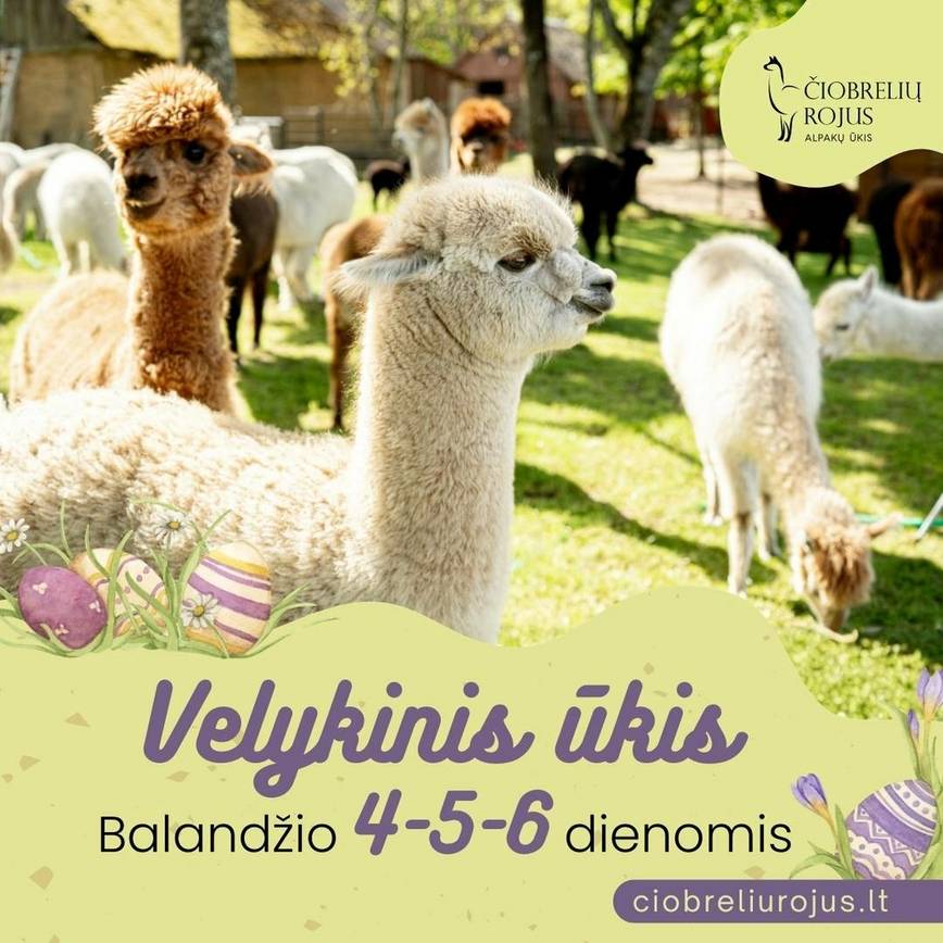 Velykinis alpakų ūkis