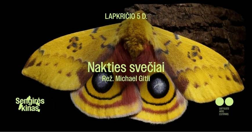 SENGIRĖS KINAS Jono Lankučio bibliotekoje: „Nakties svečiai“ 