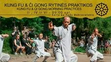 Kung Fu & Qi Gong Morning Practices