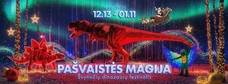 Pašvaistės magija | Švytinčių dinozaurų festivalis