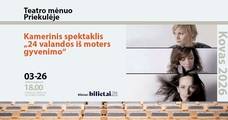 Kamerinis spektaklis „24 valandos iš moters gyvenimo“