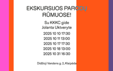 EKSKURSIJOS PARODŲ RŪMUOSE SU KKKC GIDE! 