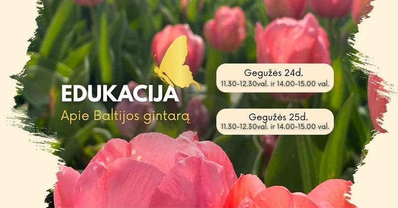 Baltijos gintaro edukacija Babilono soduose