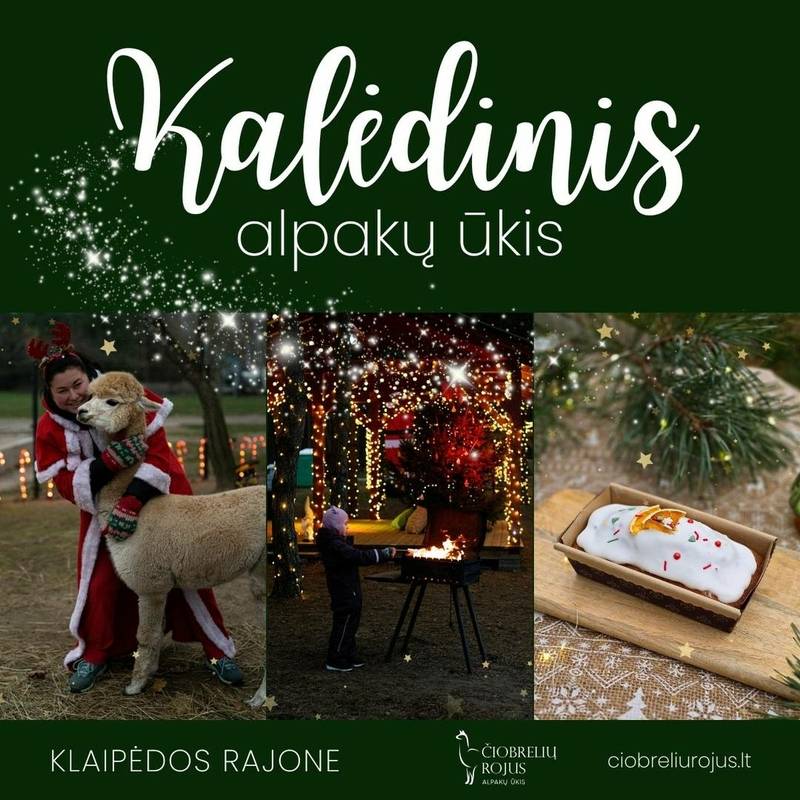 Kalėdinis alpakų ūkis