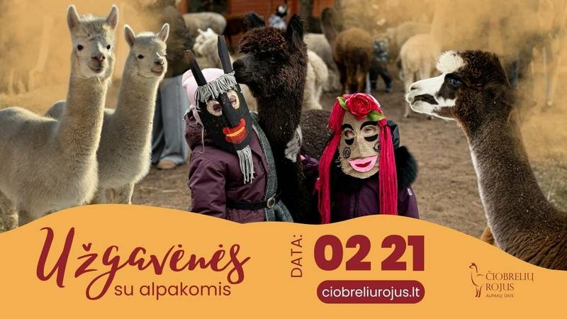 Užgavėnės Čiobrelių rojuje su alpakomis