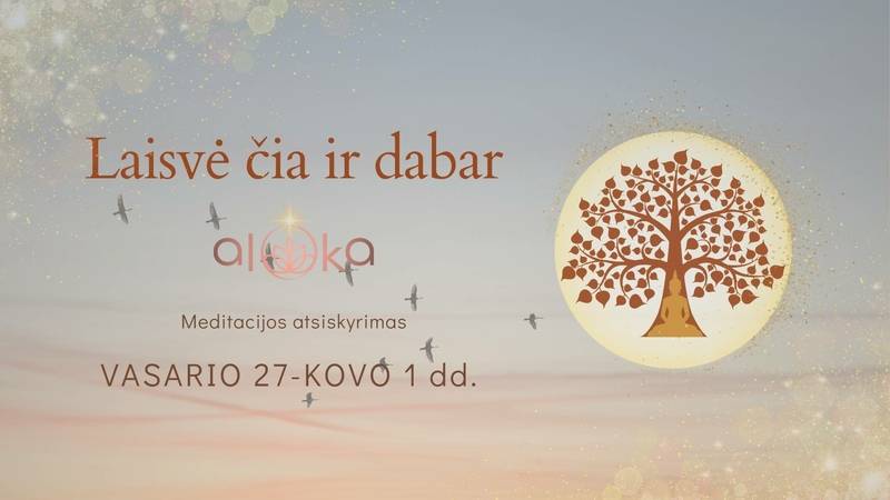 Meditacijos atsiskyrimas „Laisvė čia ir dabar“