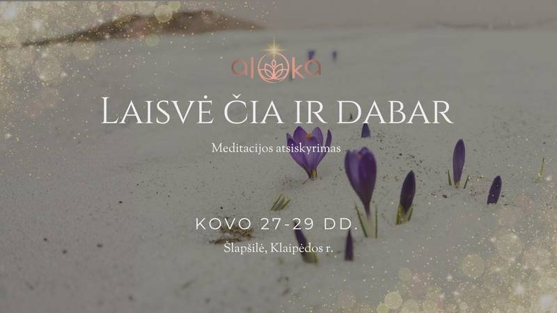 Meditacijos atsiskyrimas „Laisvė čia ir dabar“