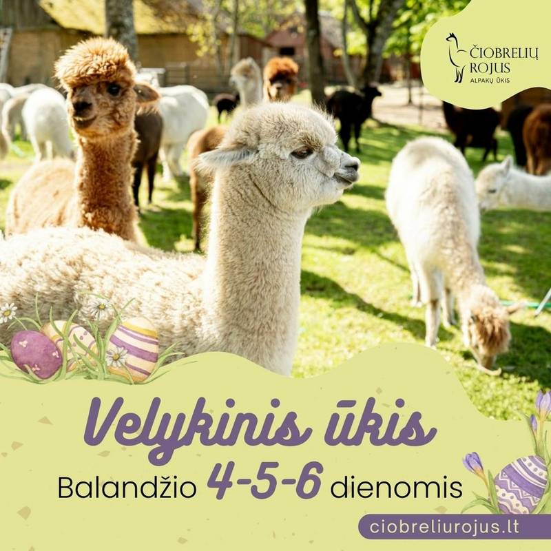 Velykinis alpakų ūkis