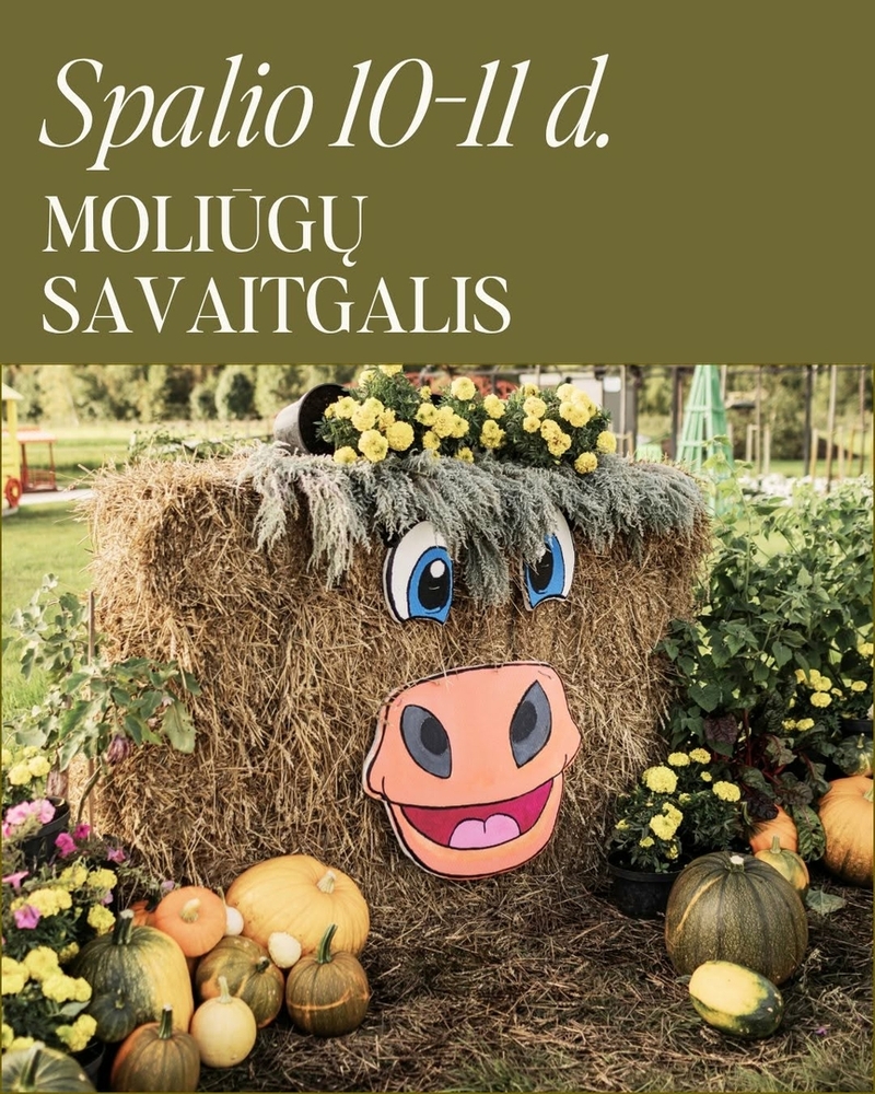 MOLIŪGŲ SAVAITGALIS Babilono soduose