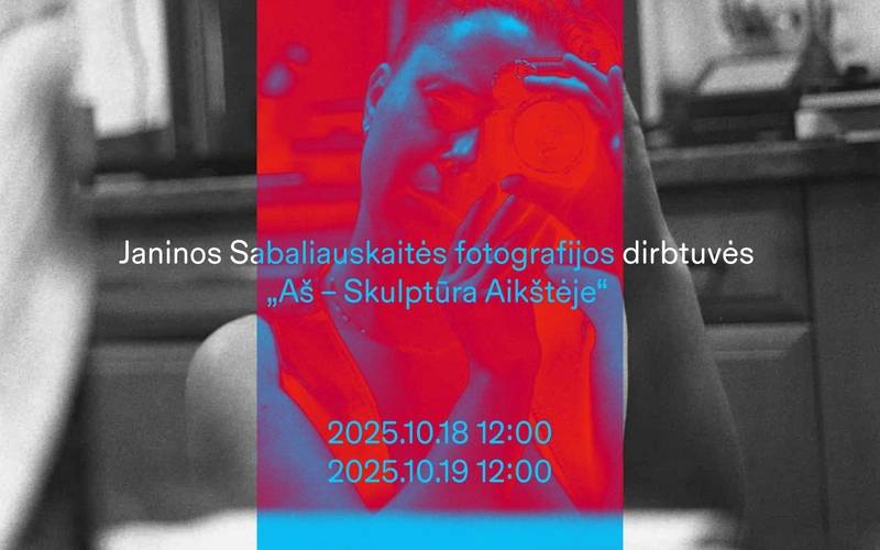 Janinos Sabaliauskaitės fotografijos dirbtuvės „Aš – Skulptūra Aikštėje“ 
